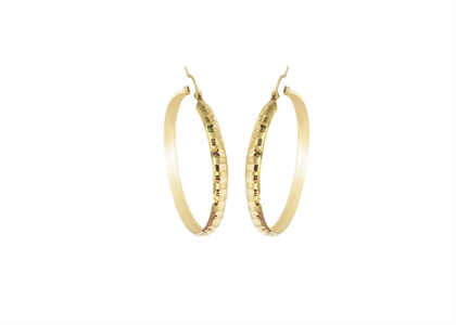 Gold Plated | Fashion Earrings